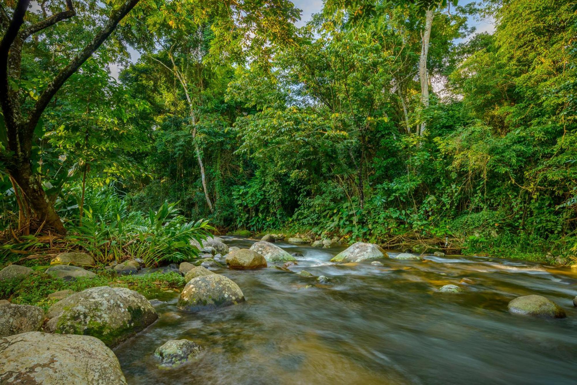 Velinn Pousada Bromelias Ilhabela Extérieur photo